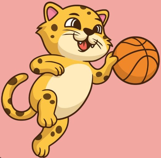 Home Team