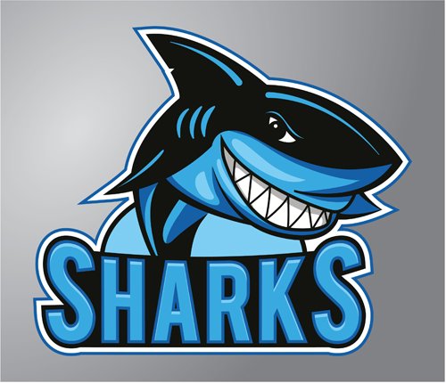 Home Team